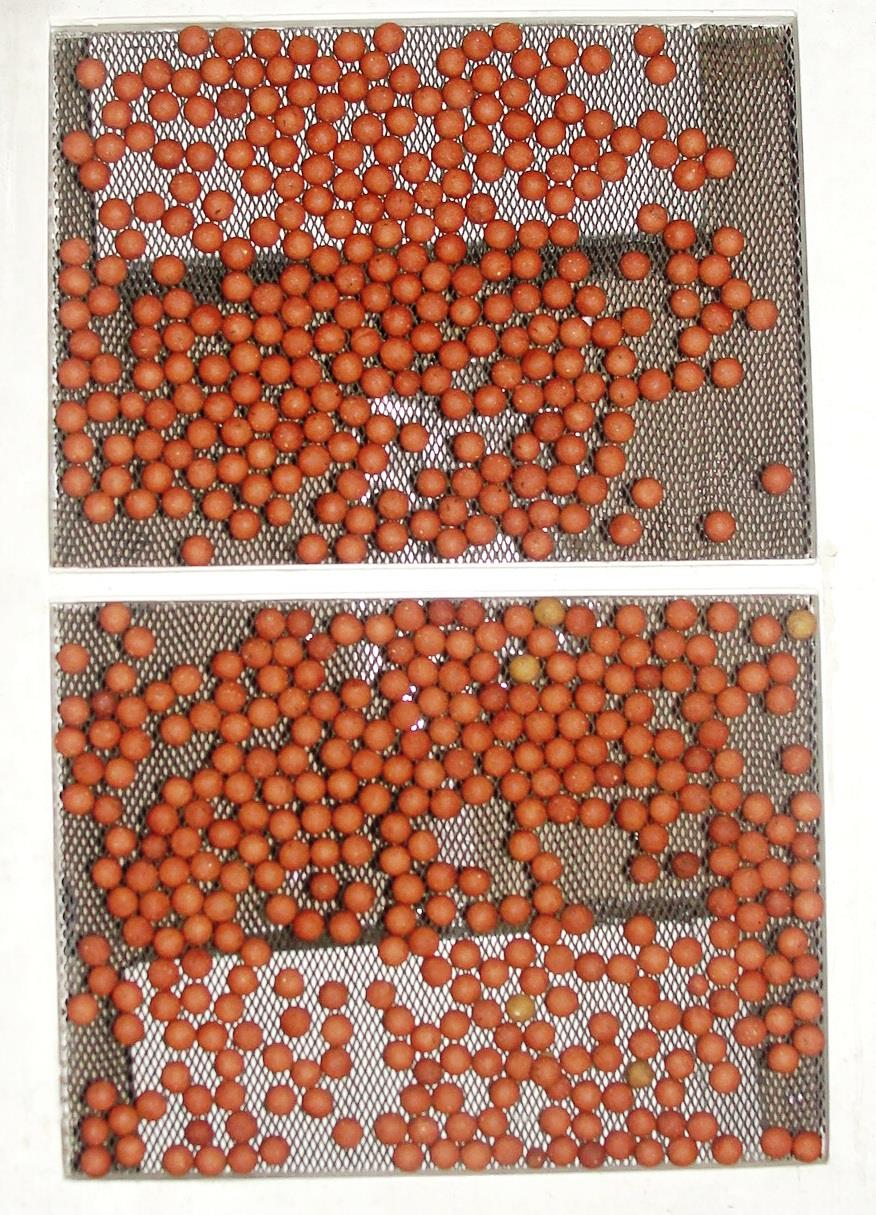 Vineri 13 - dsc03937.JPG